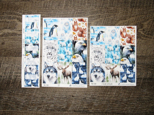 Full Boxes ONLY- FBO-008