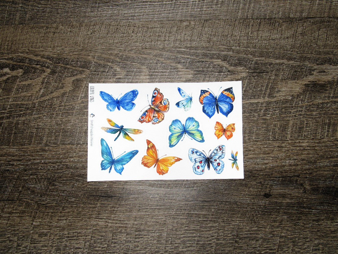 Jumbo deco- Colorful Wings