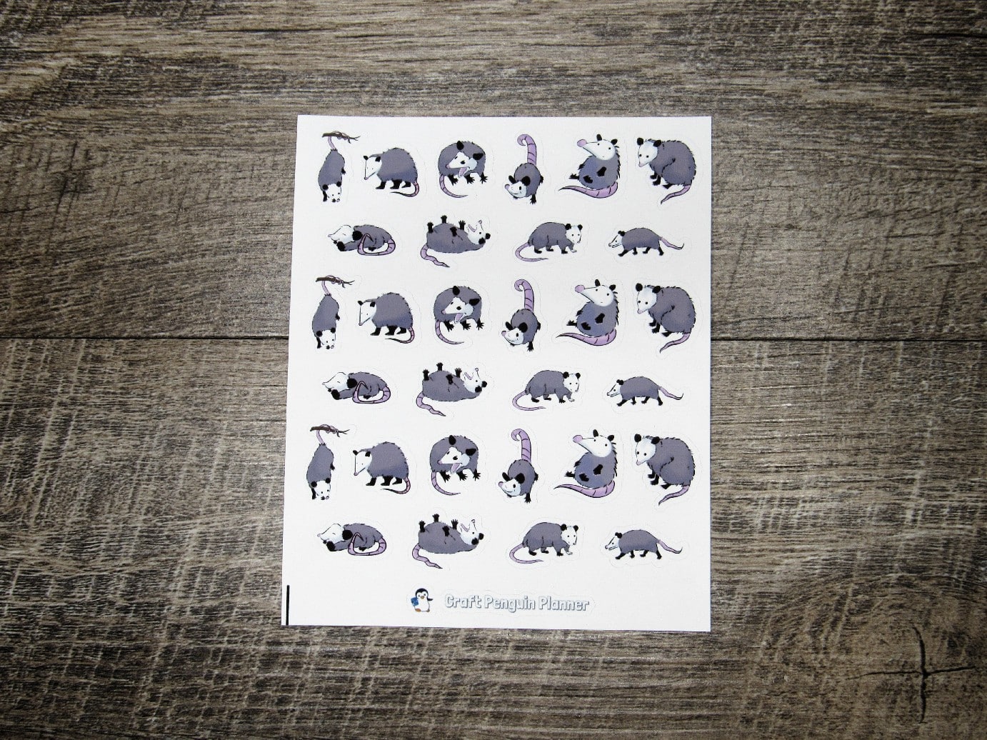 Opossum Deco Stickers