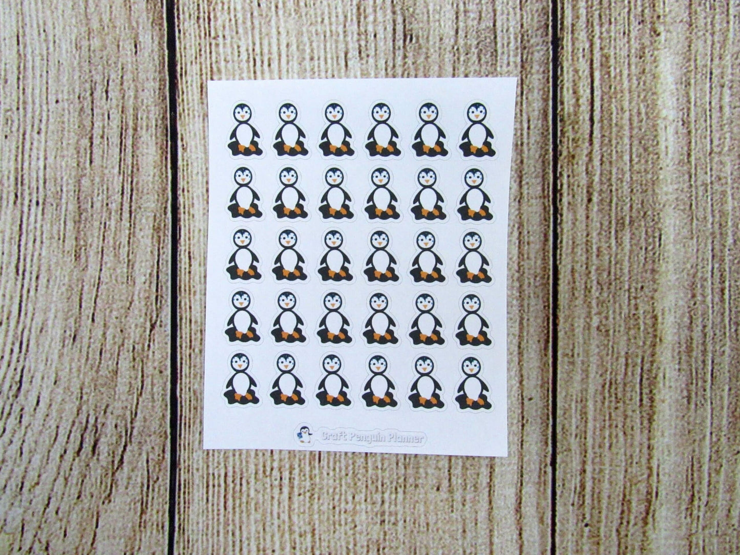 Waddles & Snowflake Melting in the heat