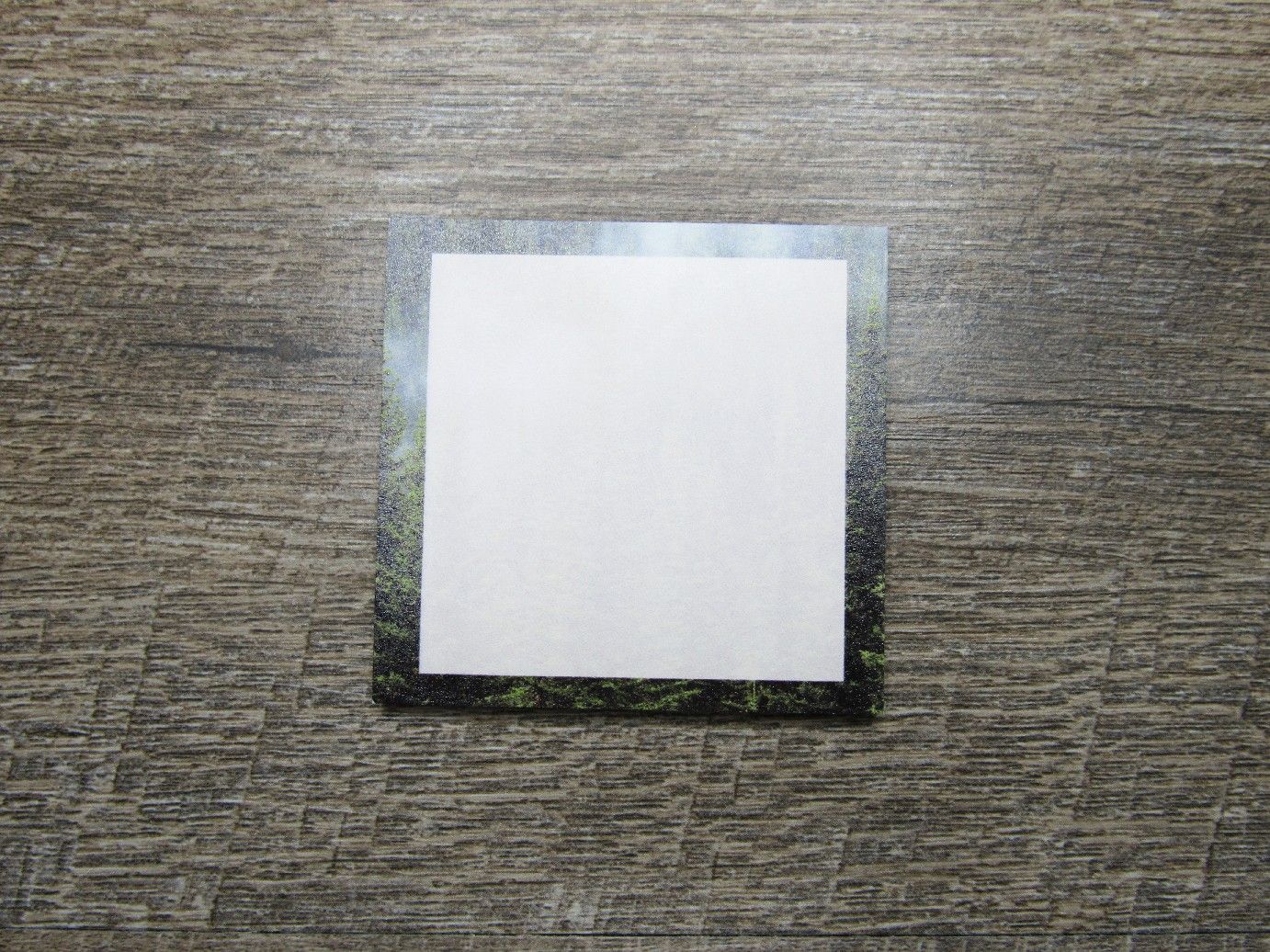 Into the Forest Sticky Notes