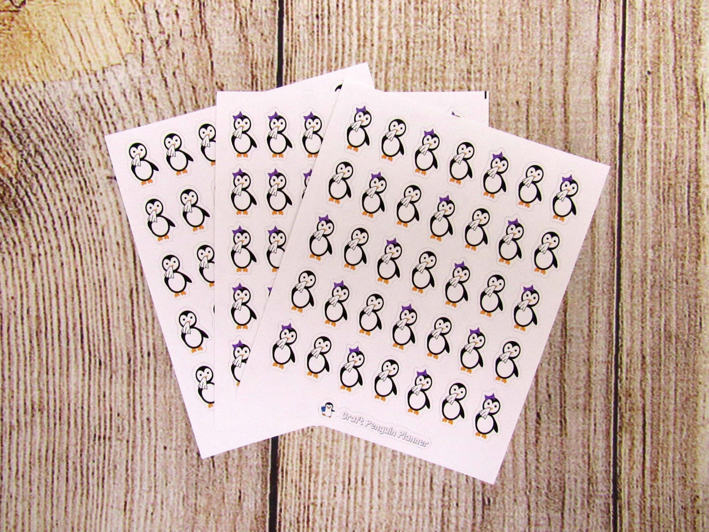 Allergy Waddles & Snowflake