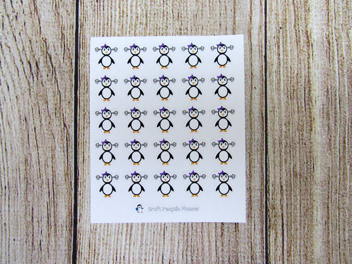 Angry Waddles & Snowflake