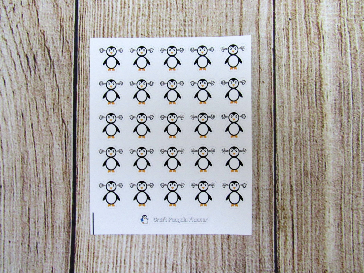 Angry Waddles & Snowflake