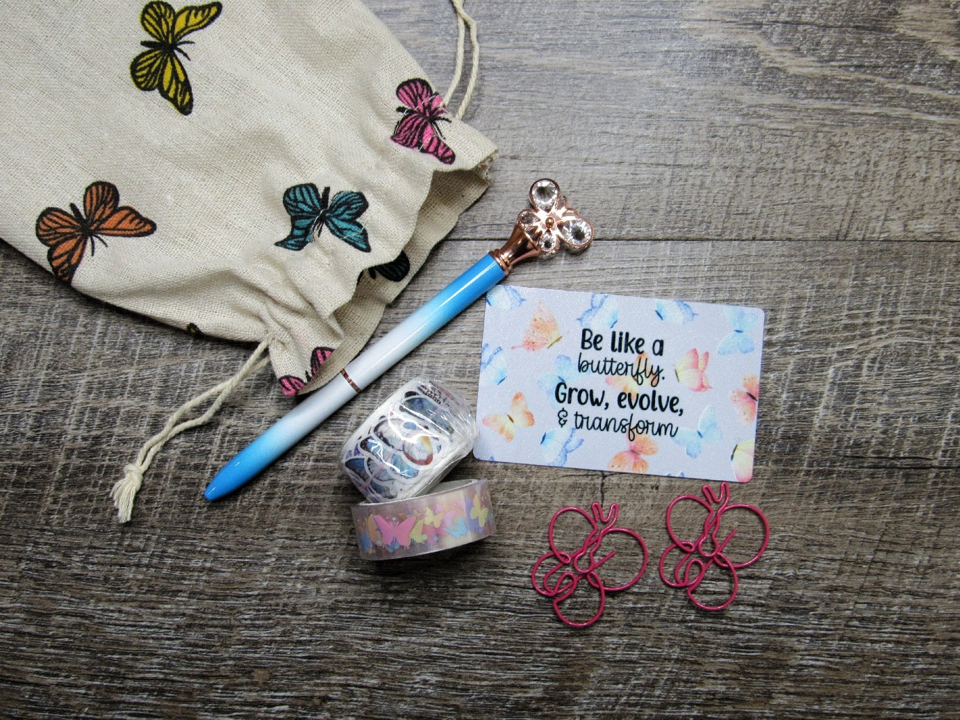 Butterfly Accessory Bag- Overstock