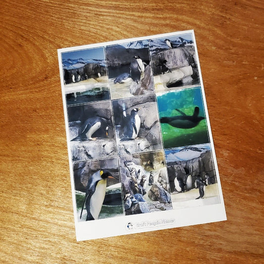 Custom Full Box Stickers