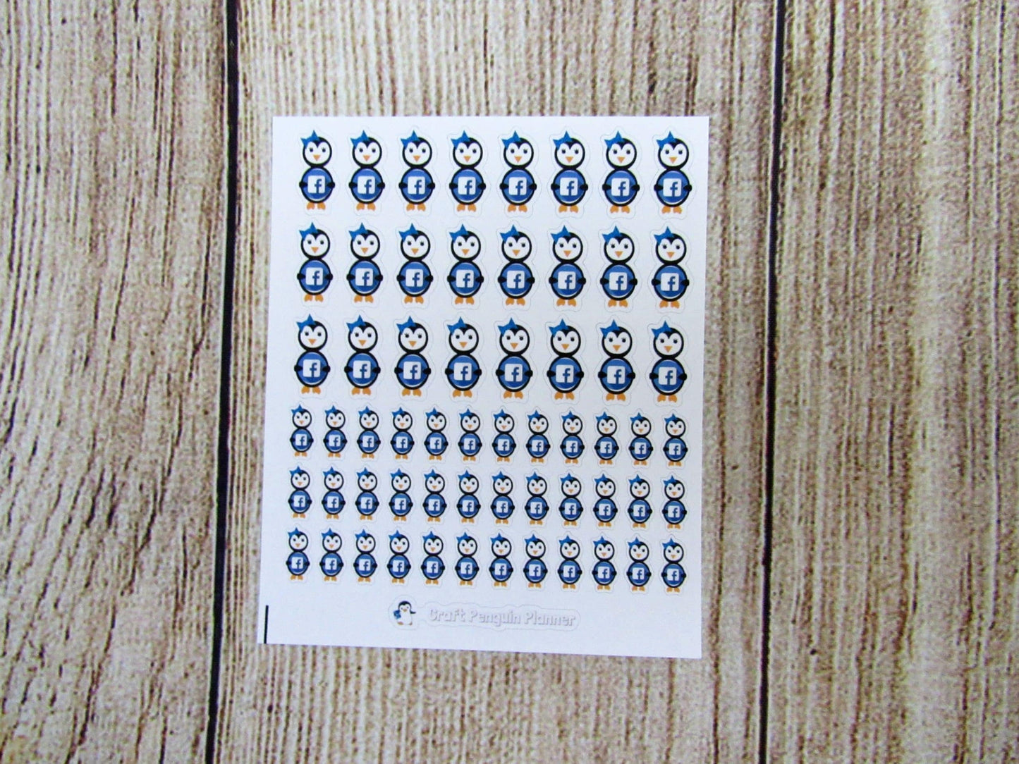 Social Media Waddles & Snowflake