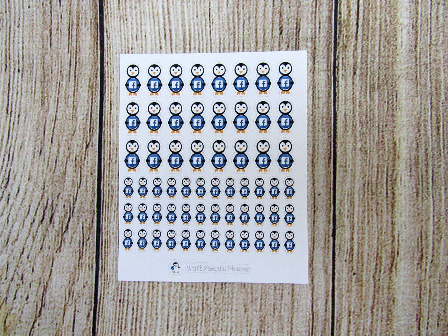 Social Media Waddles & Snowflake