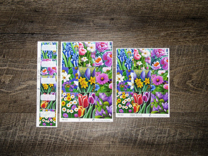 Full Boxes ONLY- FBO-002