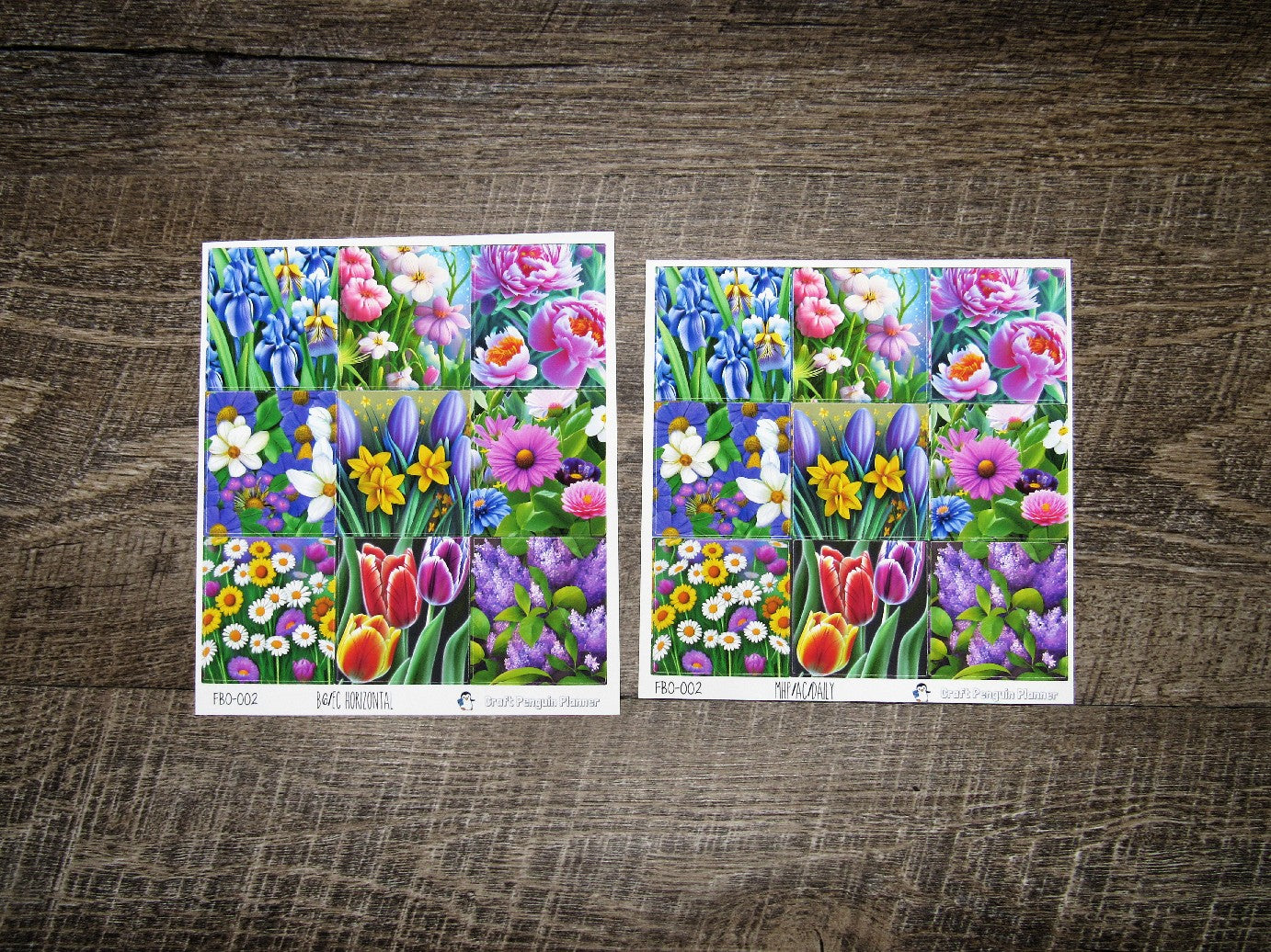 Full Boxes ONLY- FBO-002