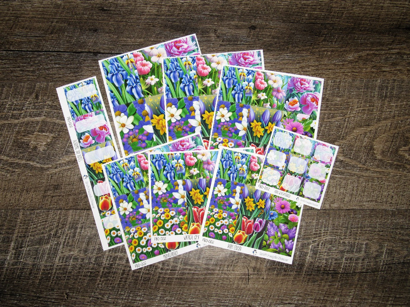 Full Boxes ONLY- FBO-002