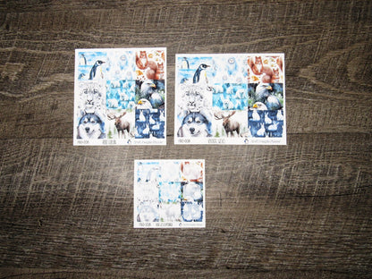 Full Boxes ONLY- FBO-008