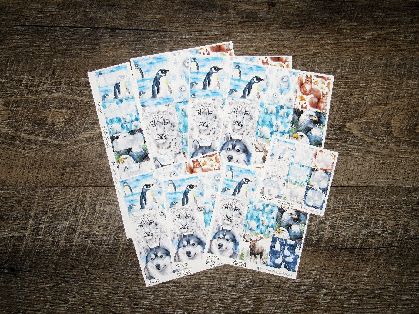 Full Boxes ONLY- FBO-008