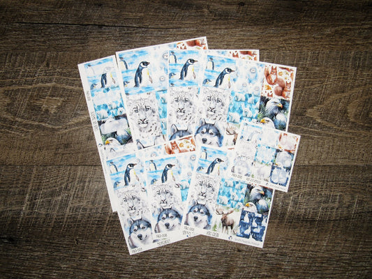 Full Boxes ONLY- FBO-008