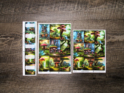 Full Boxes ONLY- FBO-011