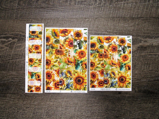 Full Boxes ONLY- FBO-012