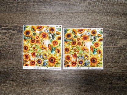 Full Boxes ONLY- FBO-012