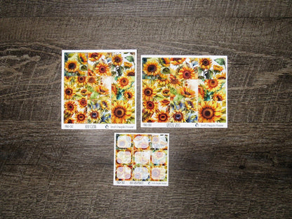 Full Boxes ONLY- FBO-012