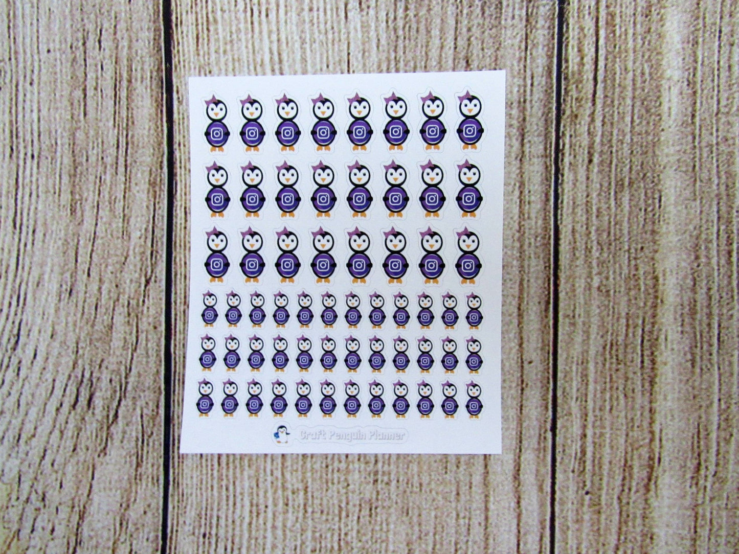 Social Media Waddles & Snowflake