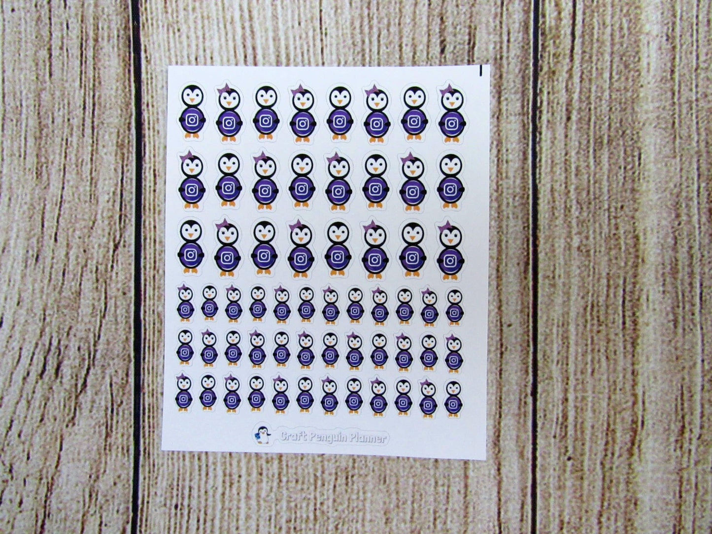 Social Media Waddles & Snowflake