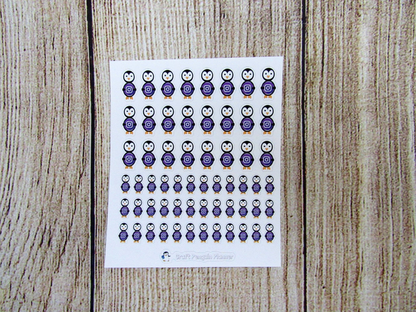 Social Media Waddles & Snowflake