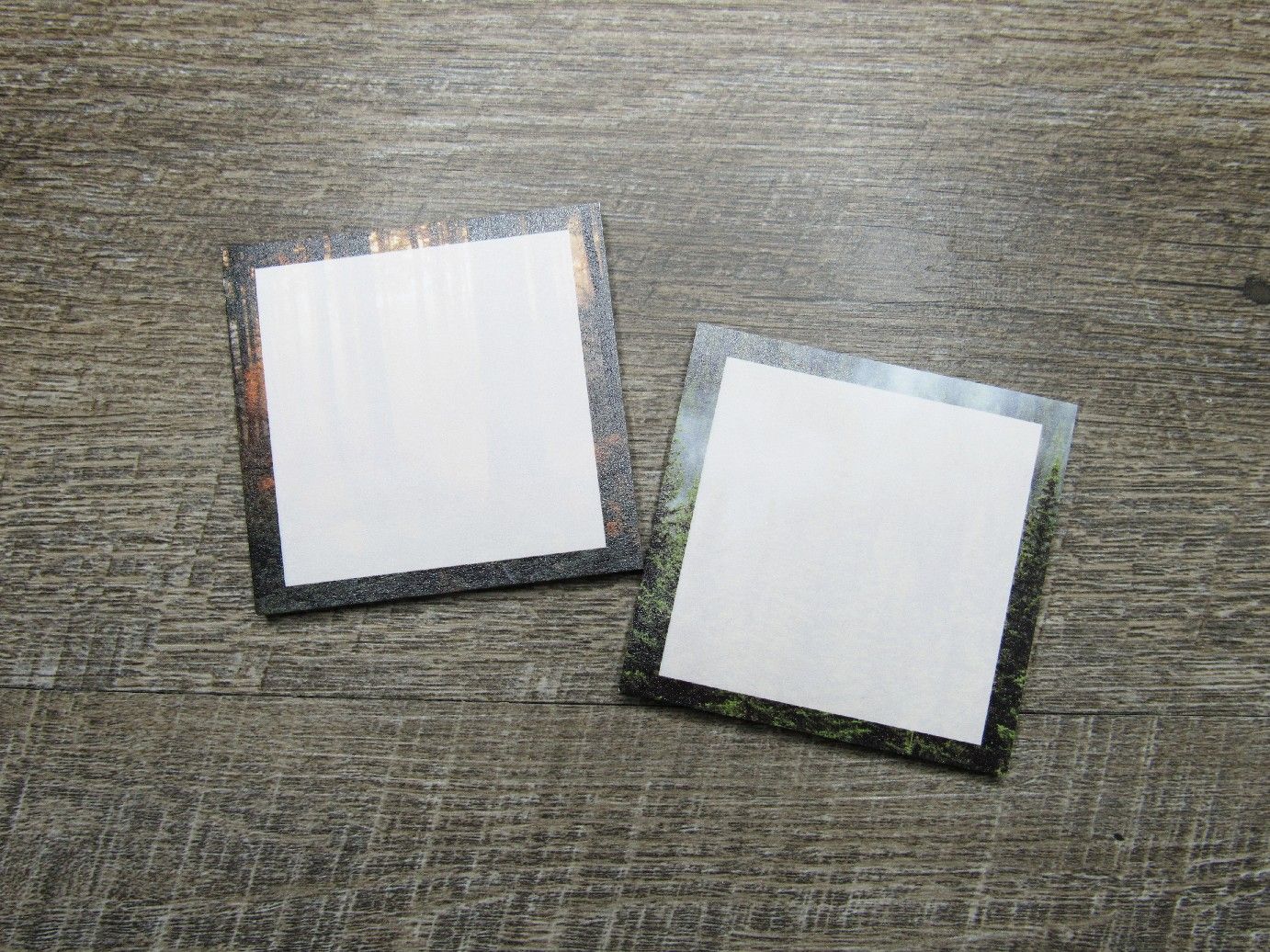 Into the Forest Sticky Notes