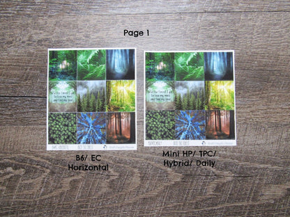 Into the Forest Weekly, CHOOSE YOUR KIT