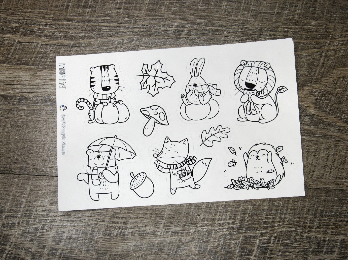 Jumbo Deco- Pumpkins Please