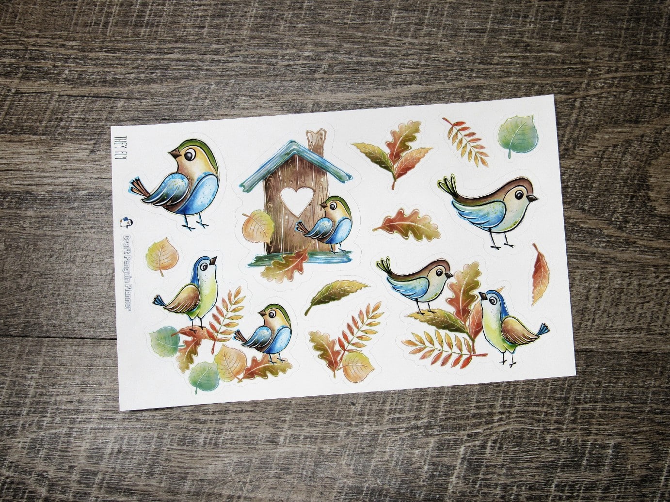 Jumbo Deco- They Fly