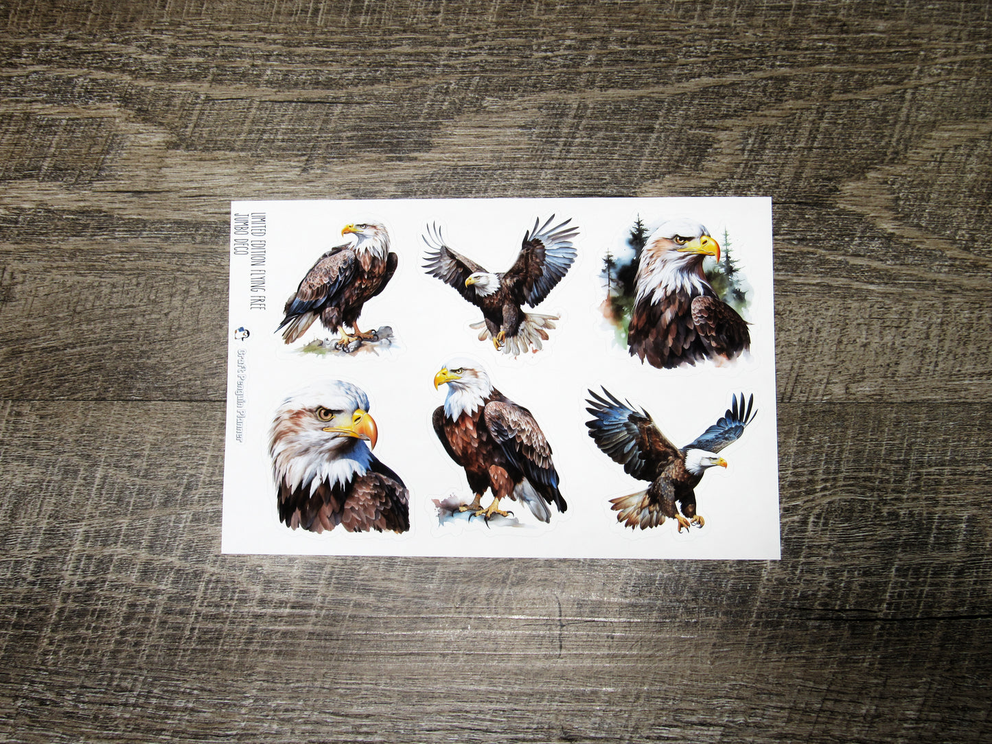 LIMITED EDITION Jumbo deco- Flying Free