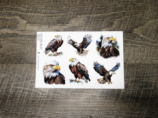 LIMITED EDITION Jumbo deco- Flying Free