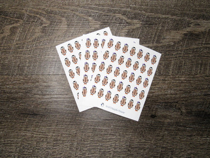 Waddles & Snowflake All the Packages