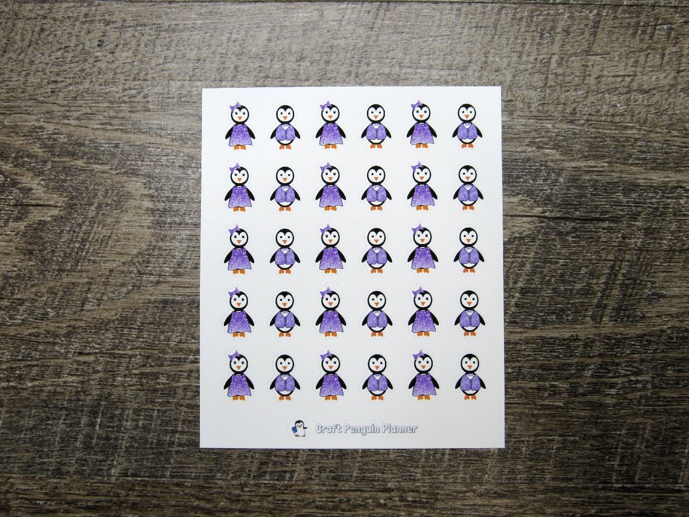 Waddles & Snowflake Dress Up