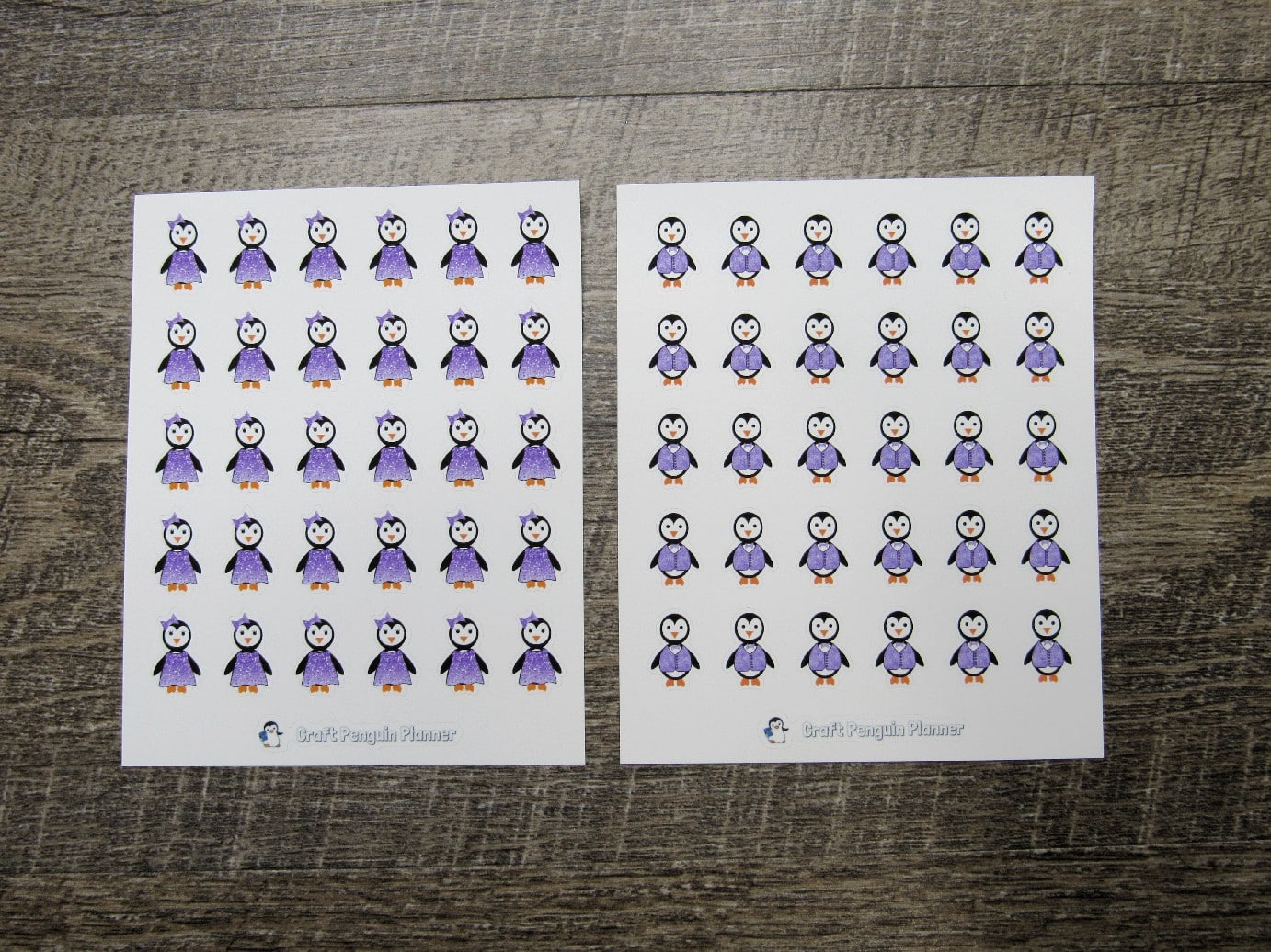 Waddles & Snowflake Dress Up