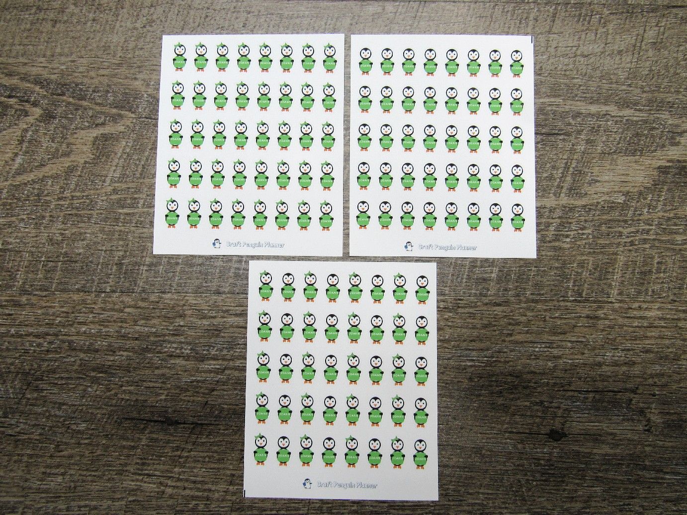 Waddles & Snowflake Go Shopping