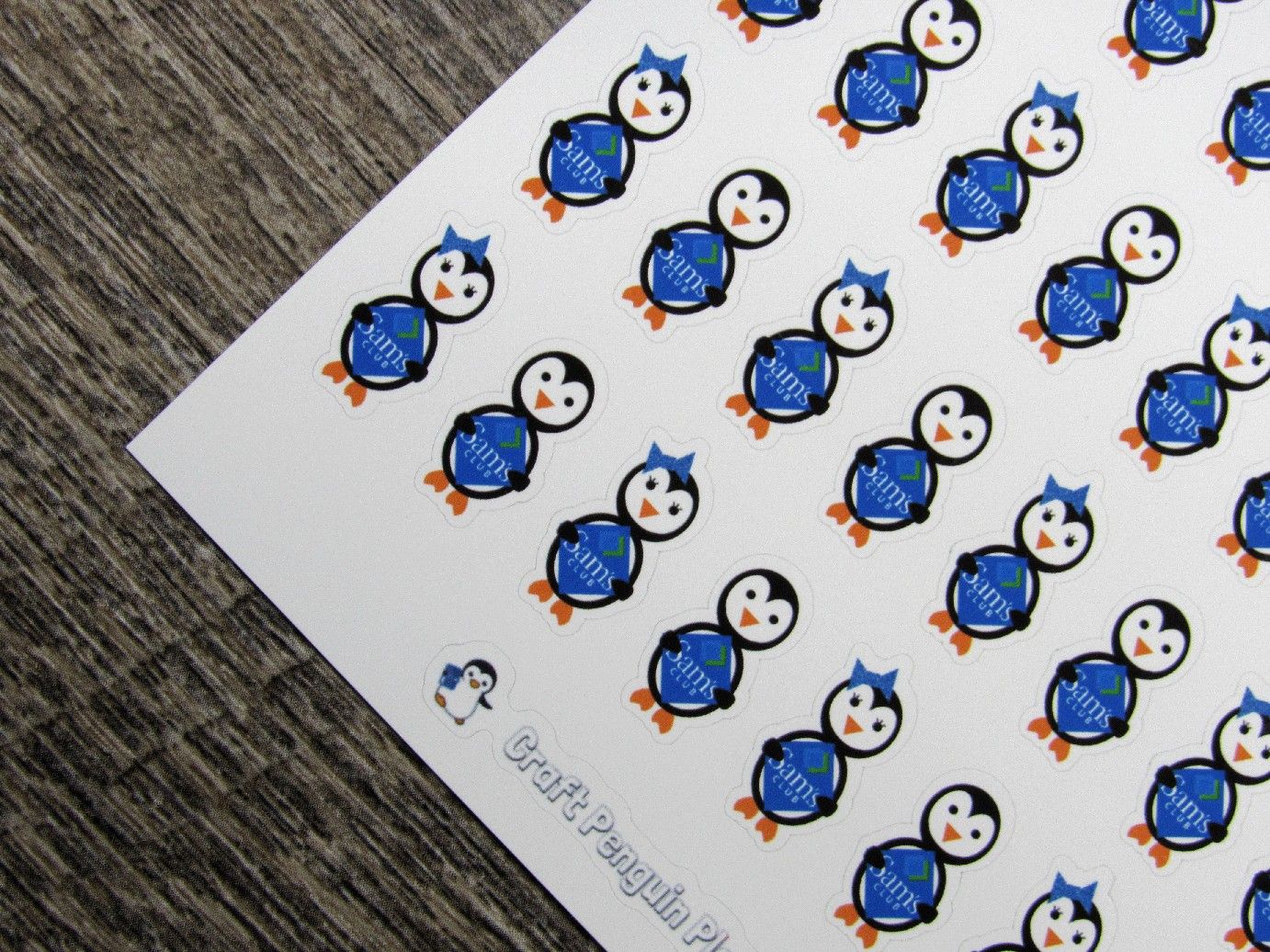 Waddles & Snowflake Go Shopping