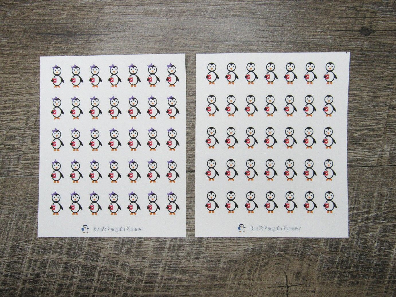 Soda Waddles & Snowflake