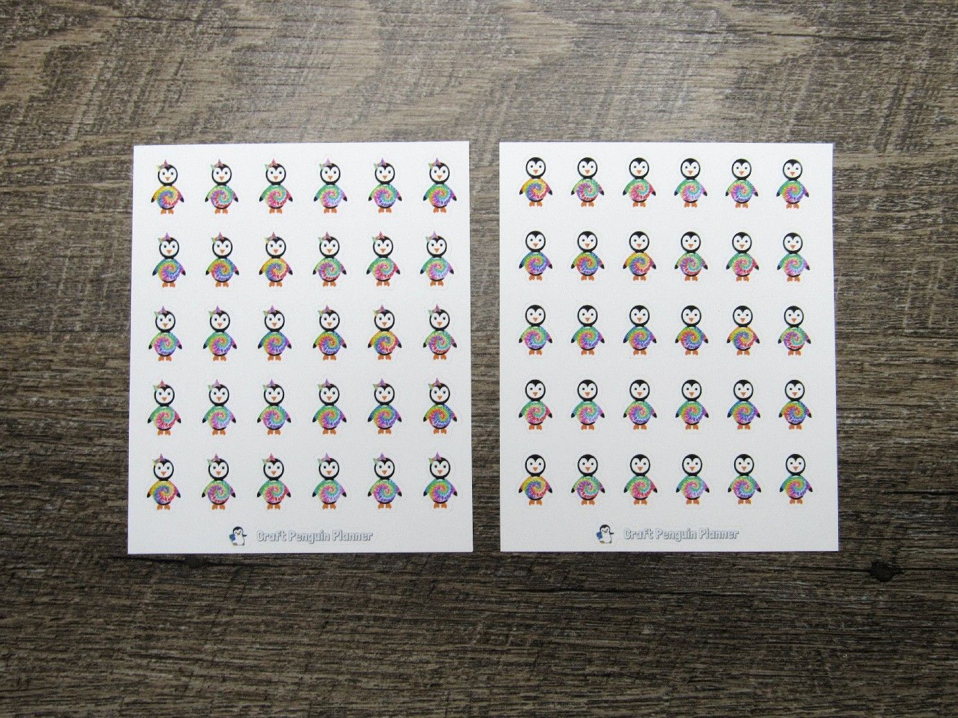 Waddles & Snowflake Wear Tie Dye Shirts