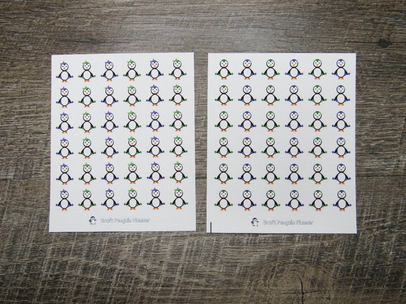 Workout Waddles & Snowflake