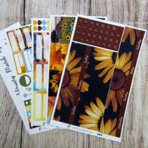 Choose to Shine Monthly Sticker Set, Customizable, BIG HAPPY PLANNER