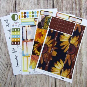 Choose to Shine Monthly Sticker Set, Customizable, CLASSIC HAPPY PLANNER