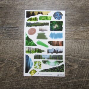 Journal Sheet- JS0040- Into The Forest