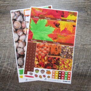 Let Things Go Monthly Sticker Set- Customizable, PENNY PAGES B6